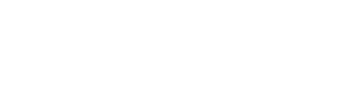 Logo-UnRisk-light